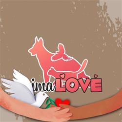 animaLOVE Sklep Zoologiczny ubranka pooperacyjne Karmy z dobrym składem Dowóz do klienta