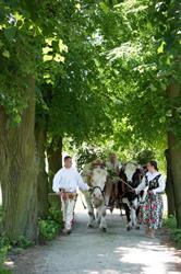 Muzeum Narodowe Rolnictwa i Przemysłu Rolno-Spożywczego w Szreniawie
