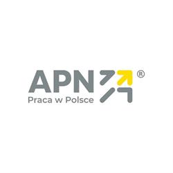 APN Praca za granicą