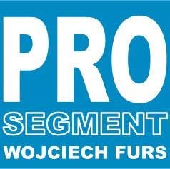 PROSEGMENT