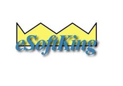 eSoftKing - producent i dostawca ACVehicle