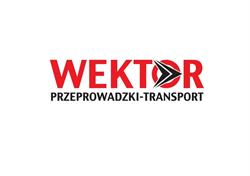 Wektor