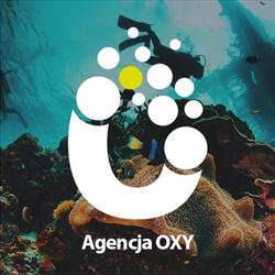 Agencja Interaktywna OXY