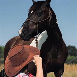UKJ Pony Club Plochocin. Jockey Club