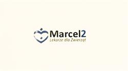 Marcel2 - Lekarze Dla Zwierząt