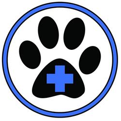 MAGICVET
