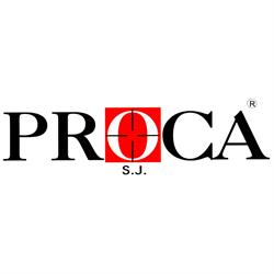 Proca