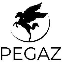 Przewozy Pegaz