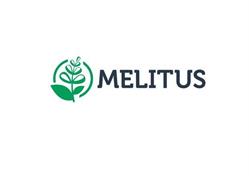 Melitus Lecznica Dermatologii Estetycznej i Anti-Aging