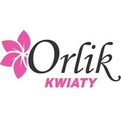 Kwiaty Orlik - Hurtownia Kwiatów Sztucznych, Import
