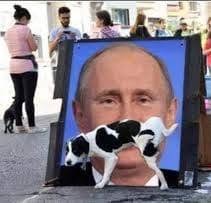 HappyPuppy.sklep.pl - Akcesoria dla psów i kotów