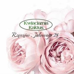 Kwiaciarnia Kaktus