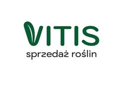 VITIS Sprzedaż roślin