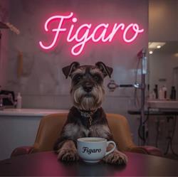 Salon Piękności dla psów Figaro