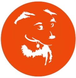 Psia Minka - behawiorysta psów oraz psi fryzjer Wrocław