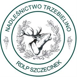 Nadleśnictwo Trzebielino, Lasy Państwowe