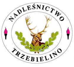 Nadleśnictwo Trzebielino, Lasy Państwowe