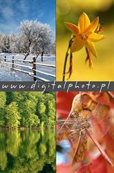 Digitalphoto.pl - Fotografia cyfrowa