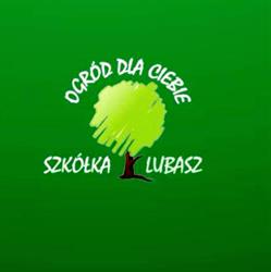 Centrum Ogrodnicze Roślin Ozdobnych, Szkółka Lubasz