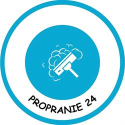 ProPranie24 - profesjonalne pranie tapicerki meblowej