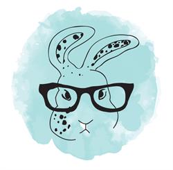 Bunny Expert