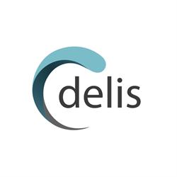DELIS - fontanny ogrodowe, maty masujące