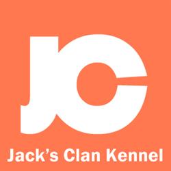 Jack's Clan FCI Hodowla Jack Russell Terriera
