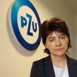 PZU Ubezpieczenia Kołczygłowy - Agent Renata Zielińska