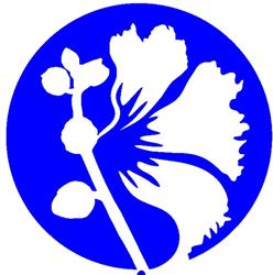 Malwowa Biuro Rachunkowe