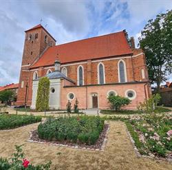 Kościół Rzymskokatolicki pw. św. Anny w Lubawie
