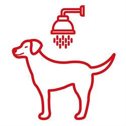 Wash Dog EXPRESS