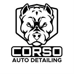 Corso Detailing