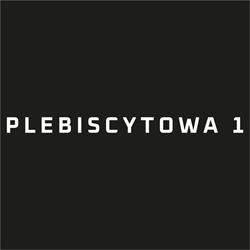 Plebiscytowa 1 - Biura do wynajęcia Gliwice