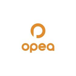 OPEA Group