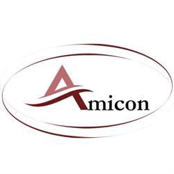 Amicon Sp. z o.o. Bramy i ogrodzenia