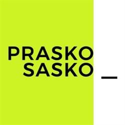 Prasko Sasko ____ Nieruchomości Michał Zbroś