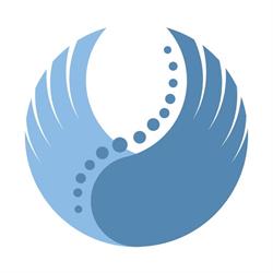 FizjoFalcon - studio rehabilitacji i treningu