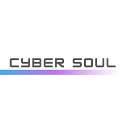 Cyber Soul - PR & Social Media & Influencer Marketing