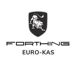 Forthing Gliwice - Euro Kas