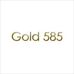 Jubiler Gold 585 Julia i Paweł Milewscy