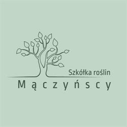 Mączyńscy Szkółka Roślin
