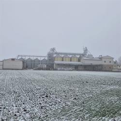 Młyn GRAŻYNA