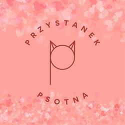 Przystanek Psotna - Kocia Kawiarnia