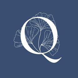 Qualia Pole Dance Studio