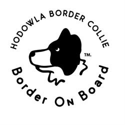 Hodowla Border Collie BorderOnBoard