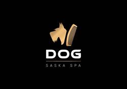 Dog Saska SPA