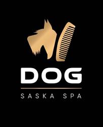 Dog Saska SPA
