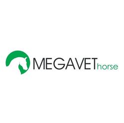 MEGAVET horse dr n. wet. Łukasz Oktawiec - profilaktyka, leczenie oraz diagnostyka chorób koni