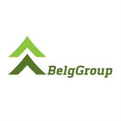 Belg Group - Wycinka drzew