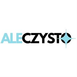 AleCzysto - pranie karcherem